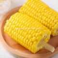 Yellow Waxy Corn Cob Instant Corn On The Cob Manufactory